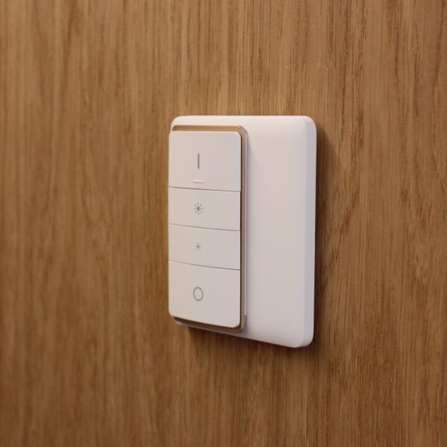 CUE Control Kit SingleWhite