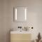 Spiegel mit Stecker 600x650 mm